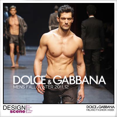 d&g model